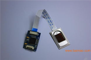 友博泰克嵌入式半导体采集指纹开发模块 智能指纹锁模块的技术、生产与价格分析